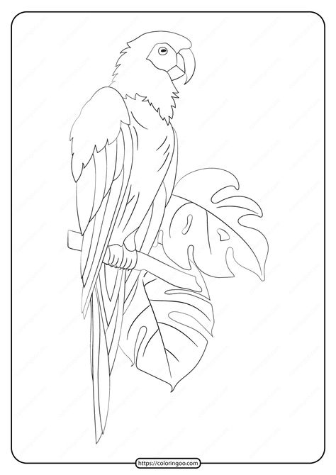 Free Printable Animals Parrot Pdf Coloring Page. High quality free printable pdf coloring, drawing, painting pages and books for adults... Painting Pages, Free Planner Pages, Mom Coloring Pages, Parrot Drawing, Regard Animal, Nova Art, Line Tattoo Ideas, Garden Coloring Pages, Mural Art Design