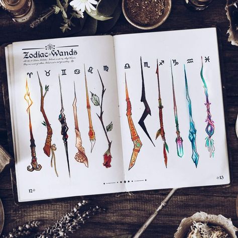 Buku Harry Potter, Zodiac Stuff, Zodiac Star Signs, 12 Zodiac, Zodiac Art, Witchy Stuff, 판타지 아트, Witchy Woman, Book Of Shadows