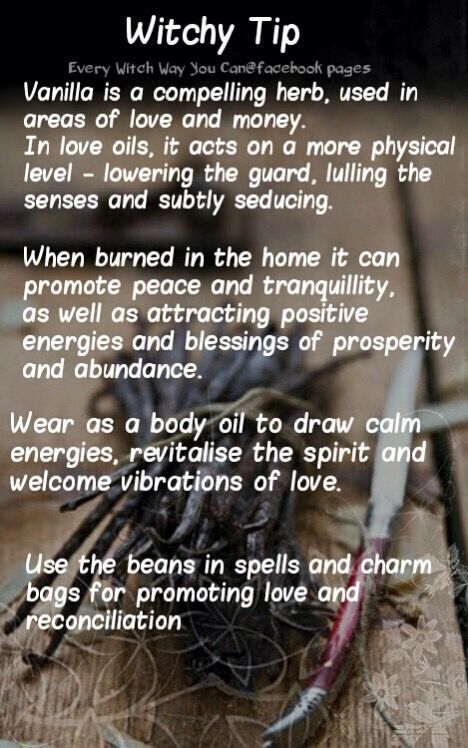 Vanilla…..Magickal Tips & Hints Celtic Witchcraft, Mystical Objects, Magical Plants, Witch Life, Every Witch Way, Witch Spells, Witch Crafts, Witch Tips, Magickal Herbs