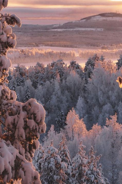 Aesthetic picture of Swedish Lapland. Discover more photos of Michelle Karam with On The Road Again Swedish Lapland, Nature Trip, Adventure Life, Life Nature, Aesthetic Picture, Epic Journey, On The Road Again, Nature Aesthetic, On The Road