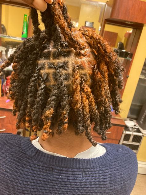 Shades Of Brown Locs, Skunk Stripe Locs, Hair Twist Curls, Brown Locs, Locs Men, Temp Fade Haircut, Loc Ideas, Mens Twists Hairstyles, Hair Twists Black