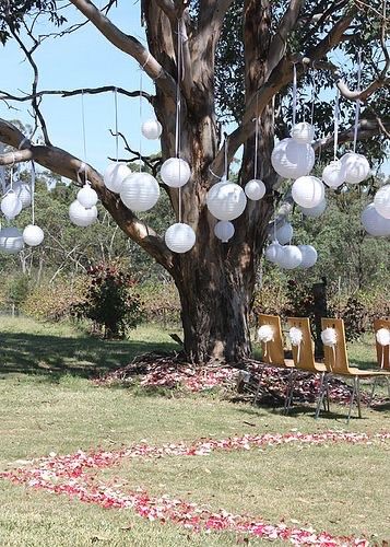 Lanterns In Trees, Outdoor Tree Decorations, Wedding Tree Decorations, Paper Lanterns Wedding, Spring Wedding Decorations, Lantern Ideas, Yosemite Wedding, Garden Party Decorations, Wedding Lanterns