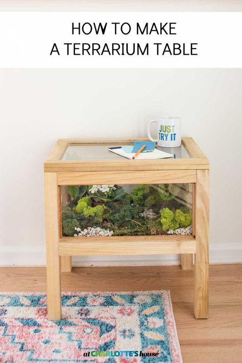 Terrarium Table, Terrarium Stand, Build A Terrarium, Modern Terrarium, Large Terrarium, Diy Terrarium, Beautiful Terrariums, Diy Side Table, Mini Terrarium