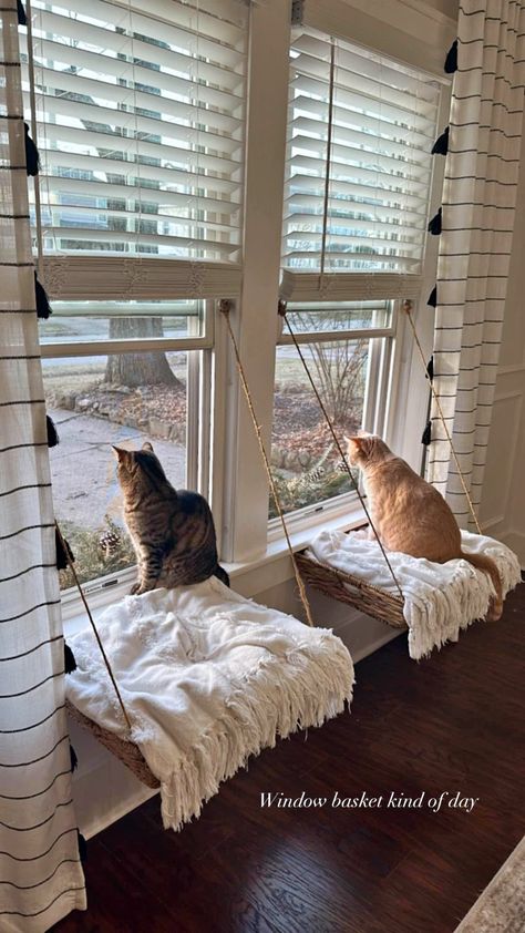 Pair of Two Cat Bed Wicker Window Baskets Window Seat For Cats, Cat Setup In Bedroom, Cat Bed Aesthetic, Window Cat Bed, Cat Window Seat, Cat Diys, Wicker Cat Bed, Window Baskets, Cat Window Bed