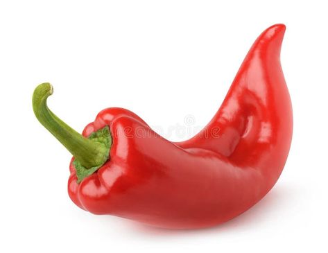 Photo about Isolated bell pepper. One curved red capsicum pepper isolated on white background with clipping path. Image of object, paprica, closeup - 72271590 Object Reference Photos, Objects Reference, Red Objects, Object Painting, Object Reference, Sea Creatures Art, Vegetable Pictures, Still Life Pictures, Life Drawing Reference