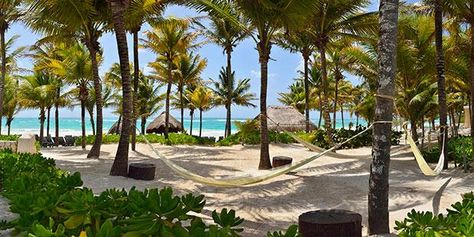 Here's something sandsational: Catalonia Royal Tulum, one of 11 CheapCarribean Noble Beach Prize Winners (2015-16), was recognized for the category of "Best Beach Bliss." Yep, beachin' resort rock star. Boom.</p> Catalonia Royal Tulum, Carnival Conquest, Tulum Resorts, Mexican Beaches, Tulum Beach, Mexico Hotels, Sustainable Tourism, All I Ever Wanted, Tulum Mexico