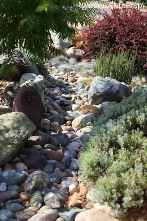 Dry River Bed Landscape, Dry Riverbed Landscaping, Drought Tolerant Landscape Design, Dry River Bed, Low Maintenance Backyard, Succulent Landscape Design, Dry River, River Rock Landscaping, Drought Tolerant Landscape