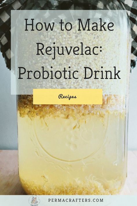 Fermented Veggies, Sprouted Grains, Pickle Recipes, Probiotic Drinks, Fermentation Recipes, Best Probiotic, Fermented Vegetables, Fermented Drink, Gut Microbiota