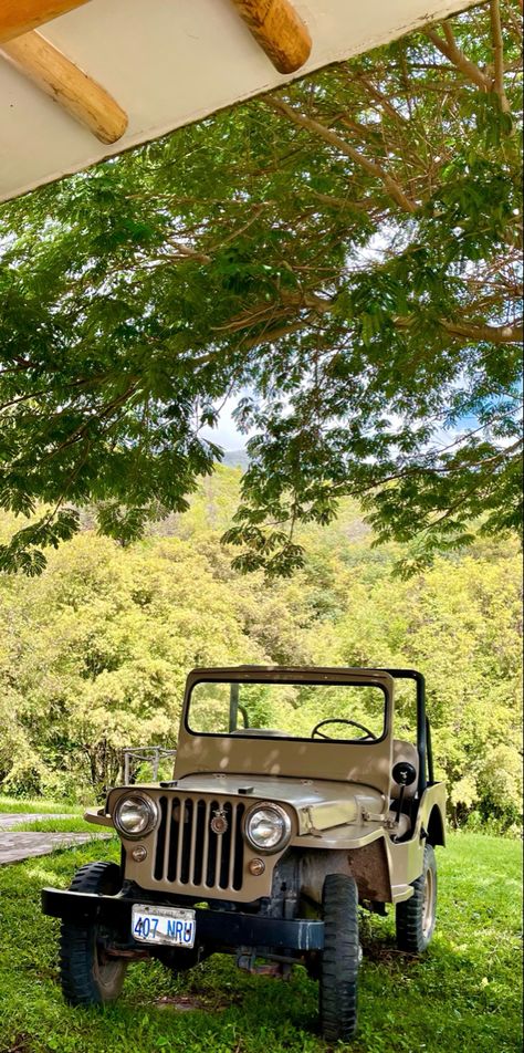 Old jeep from 1940 Vintage Jeep Aesthetic, Jeep Old, Jeep Wedding, Vintage Jeep, Old Jeep, Cool Jeeps, Wedding Night, Retro Cars, Cool Trucks