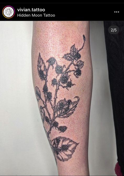 Thorn Bush, Raspberry Bush Tattoo, Hawthorn Bush, Blackberry Tattoo, Thorn Tattoo, Raspberry Bush, Bush Plant, Vine Tattoos, Plant Tattoo