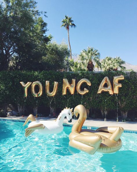 Ashley Torres on Instagram: “this is 30  // @funboylife floaties FTW // #pursuing30 #youngAF” Swan Pool Float, Pool Diy, 25th Birthday Parties, Birthday Goals, Fiesta Tropical, Inflatable Pool Floats, 30th Birthday Parties, Pool Floats, 25th Birthday