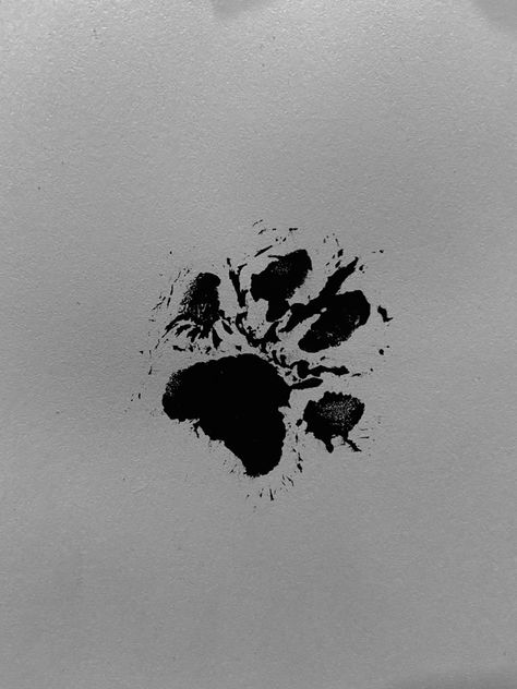 Dog Paw Wallpaper Aesthetic, Dog Aesthetic Dark, Paw Print Aesthetic, Werecat Oc, Paws Aesthetic, Paw Aesthetic, Paw Print Drawing, Dog Paw Print Art, Puppy Paw Print