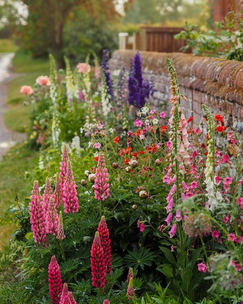 Cottage Garden Bed, Rain Pic, Small English Garden, Piet Oudolf, Garden Paradise, Cottage Garden Design, Shade Flowers, Evening Light, English Cottage Garden