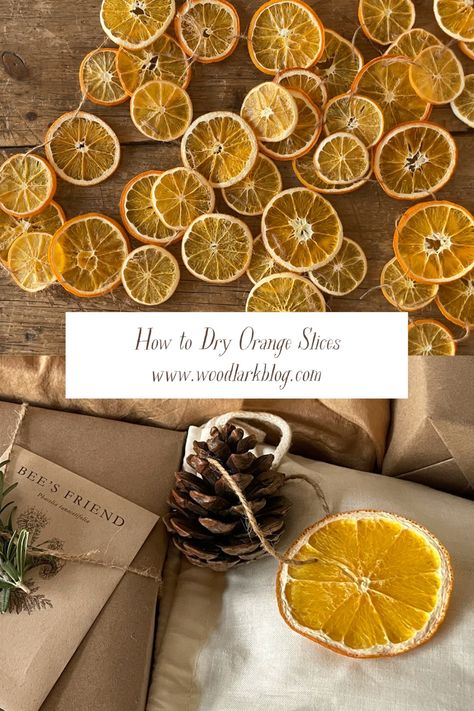 How to Dry Orange Slices (Oven or Dehydrator) - Woodlark Blog Dehydrate Orange Slices, Dehydrate Oranges, Woodlark Blog, Dry Orange Slices, Beeswax Candles Diy, Orange Ornaments, Simmer Pot, Cocktail Garnish, Dried Orange Slices