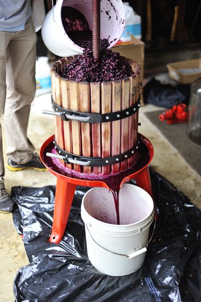 Wine Making Recipes, Homemade Wine Recipes, Wine Press, Make Your Own Wine, Wine Vineyards, Homemade Wine, Wine Cheese, How To Make Beer, Wine And Liquor