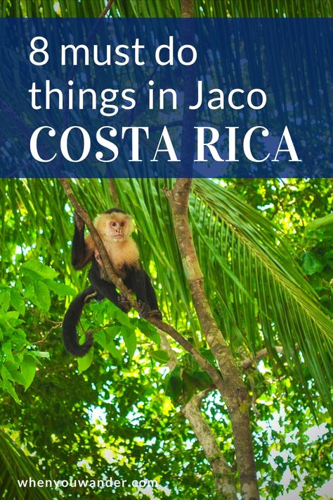 8 Incredible Things to do in Jaco, Costa Rica | When You Wander Jaco Beach Costa Rica, Jungle Wildlife, Jaco Costa Rica, Costa Rica With Kids, Travel Costa Rica, Costa Rica Travel Guide, Costa Rica Trip, Costa Rica Beaches, Visit Costa Rica