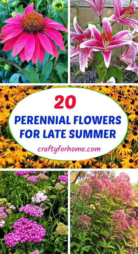 20 Best perennial flowers for late summer blooms, low care perennial and long blooming perennial flowers. Late Blooming Perennials, Garden Aesthetic Drawing, Summer Blooming Perennials, Perennial Landscaping, Plants Medicinal, Summer Perennials, Corner Landscaping, Grow Lemon, Summer Planting