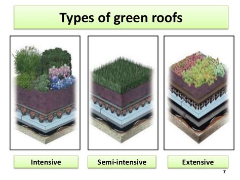 Intensive vs Extensive Green Roof | Green roofs Intensive Green Roof, Extensive Green Roof, Types Of Green, Garden Roof, Green Roof System, Garden Details, Grass Roof, Senior Thesis, Green Roofs