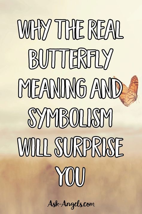 Butterfly Visit From Heaven, Yellow And Black Butterfly Meaning, Social Butterfly Quotes, Butterfly Meaning Spiritual, Butterfly Messages, Meaning Of Butterflies, Butterfly Spiritual Meaning, Yellow Butterfly Meaning, Pagan Prayers