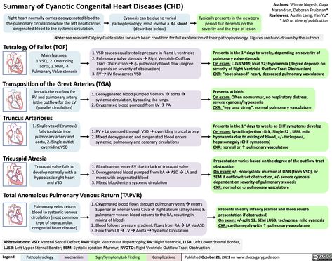 Acyanotic Heart Defects, Nurse Study, Nursing School Essential, Heart Diseases, Nurse Study Notes, Med School Motivation, Congenital Heart Defect, Heart Defect, Congenital Heart