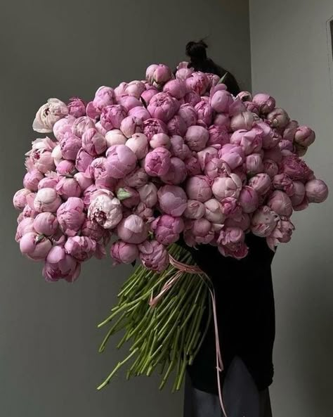 Peonies Bouquet, Flower Therapy, Beautiful Bouquet Of Flowers, Beautiful Flower Arrangements, Peony Flower, Flower Centerpieces, Flower Beauty, Beautiful Bouquet, Flowers Nature