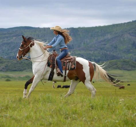 Cowgirl Photography, Horse Senior Pictures, Western Horse Riding, Horse Photography Poses, Foto Cowgirl, Horsey Life, Pictures With Horses, Cowgirl Pictures, Cute Horse Pictures