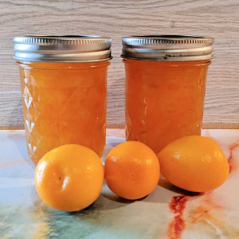 When you crave a bright, citrusy spread without the fuss, this kumquat jam recipe delivers! Tart and tangy kumquats transform into a vibrant jam in just 30 about minutes! Kumquat Jam Recipe, Kumquat Jam, Kumquat Recipes, Kumquat Tree, Recipes Fruit, Canning Jam, Freezer Jam, Water Bath Canning, Jam Recipe