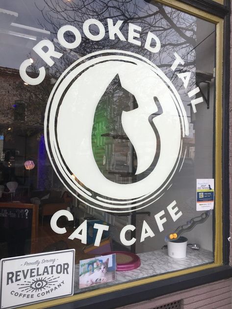 Cats, cats & more cats! Photos from downtown Greensboro’s new cat cafe | myfox8.com #CoolCatTreeHouse Cafe Logos, Cat Cafes, Cat Bar, Soft Paws, Cool Cat Trees, Cat Hotel, Kitty Cafe, Cats Photos, Cat Lounge