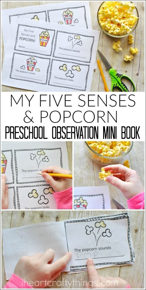 Here's a fun, hands on way to learn all about the five senses in preschool. Use the My Five Senses Preschool Mini Book printable and some popcorn and let preschoolers observe and record all about their five senses. 5 Senses Activity Kindergarten, Taste 5 Senses Preschool, Prek 5 Senses Activities, 5 Senses Popcorn Activity, Mini Book Printable, 5 Senses Preschool, Five Senses Preschool, Popcorn Theme, 5 Senses Activities