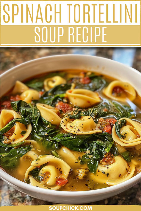 Spinach Tortellini Soup Recipe Crock Pot Spinach Tortellini Soup, Tortellini Soup No Tomato, Spinach And Cheese Tortellini Soup, Tomato Spinach Tortellini Soup, Soup With Tortellini And Spinach, Spinach Florentine Soup, Soup Using Spinach, Tortellini En Brodo Soup Recipes, Tortini Soup