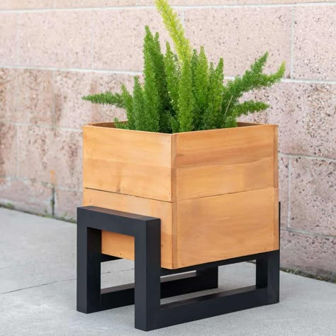 How To Build A DIY Modern Planter Box - Anika's DIY Life Modern Wooden Planters, Unique Wood Planters, Wood Planter Boxes Diy, Plant Stands Diy, Diy Modern Planter, Planter Boxes Diy, Wood Flower Pots, Diy Planter Stand, Indoor Planter Box