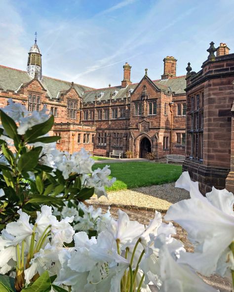 Gladstone's Library | The sun is shining! Are you planning a late spring or summer visit to the Library? We wish you good weather, whenever you choose to… | Instagram Good Weather, Sun Is Shining, Late Spring, The Library, Plan A, You Choose, The Sun, Castle, Sun