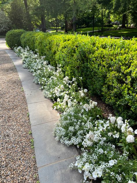 Peagravel driveway edged in stone with boxwoods and annuals Driveway Landscape, Driveway Entrance Landscaping, Entrance Landscaping, Landscaping With Large Rocks Front Yard, Driveway Entrance, Driveway Landscaping, Fence Designs, Front Yard Garden Design, Landscaping With Large Rocks