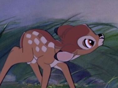 Disney Couples Matching Icons, Bambi Matching Pfp, Disney Matching Pfp, 2d Disney, Bambi 3, Old Disney Movies, Disney+ Icon, Discord Pfps, From Movie