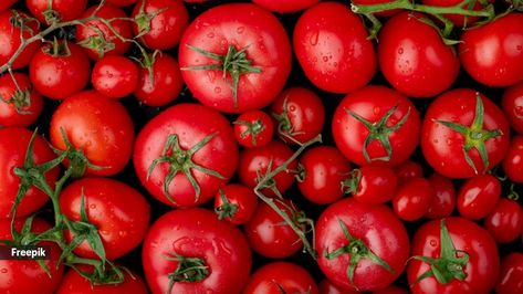 What happens to your body if you eat tomatoes every day? Tomato Dishes, Diet Doctor, Improve Heart Health, Canning Tomatoes, Tomato Vegetable, Red Tomato, Vitamin K, Green Vegetables, What Happened To You