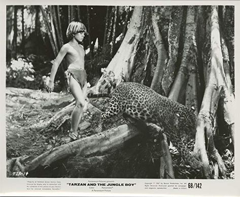 Tarzan and the Jungle Boy (1968) Tarzan Actors, Betty Page, 1950s Pinup, Jet Black Hair, Famous Photos, Bettie Page, Wild Woman, Tarzan, Vintage Pinup