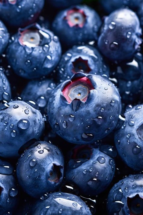 Blueberry berries filling entire frame, food background close up, generative AI stock photos Food Background, Food Backgrounds, Fresh Berries, Close Up, Stock Images, Stock Photos, Frame