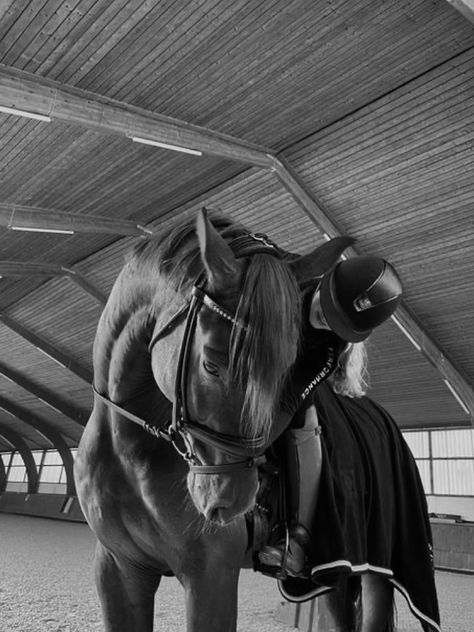 Showjumping Aesthetic, Horses Aesthetic, Horsey Life, Horse Competition, Pictures With Horses, Horse Riding Outfit, Equestrian Aesthetic, Cute Horse Pictures, Horse Camp