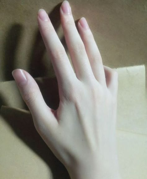 Slightly more veined than most female hands, with blue-green shadowing between thumb and finger. Hand Drawing Reference, Hand Reference, Pretty Hands, Body Reference, Anatomy Reference, Pale Skin, Art Reference Photos, Tokyo Revengers, Pose Reference