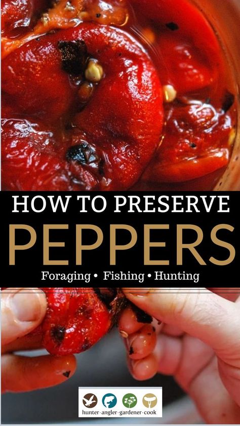 Consider, for a moment, the sweet pepper. No other plant demands so much, gives so little, yet keeps us coming back for more. Sweet peppers are the coquettes of my garden. I coddle them, dote on their every need, and in return they toss me a few fruits to play with — so few, in fact, that I can barely bring myself to eat them fresh. I preserve almost every one the little minxes give me to eat huddled, alone, in the dead of winter. | @huntgathercook #hankshaw #roastedredpeppers #howtoroastpeppers Preserving Peppers From Garden, Mad Hatter Pepper Recipes, Preserve Peppers, Preserving Peppers, Homemade Chili Powder, Preserving Recipes, Entertaining Dinner, Friends Recipes, Canned Food Storage