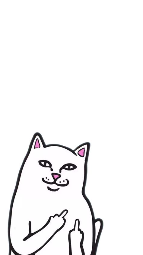 RipnDip - Imgur Ripndip Wallpaper, Lord Nermal, Hypebeast Wallpaper, Supreme Wallpaper, Bicycle Frame, Cat Wallpaper, I Wallpaper, Screen Wallpaper, Screen Savers