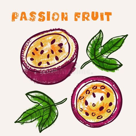 Exotic Fruit Drawing, Passion Fruit Drawing, Passion Fruit Illustration, Exotic Illustration, Fruit Line Art, Doodle Reference, Fruit Doodle, Cute Art Ideas, Totoro Art