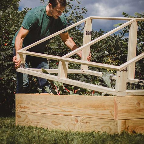 Diy Cold Frame, Cold Frame Diy, Cold Frame Gardening, Mini Serre, Cold Frames, Garden Boxes Diy, Winter Gardening, Building A Raised Garden, Window Well