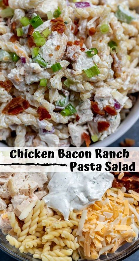 Chicken Bacon Ranch Pasta Salad is practically a meal all by itself. This easy pasta salad recipe is great for picnics, parties, barbecues or potlucks. The perfect side dish to please a hungry crowd! #pastasaladrecipes #pastasalad #sidedishrecipes #chickenbaconranch - chicken bacon recipes - pasta salads recipes - ranch pasta salad - pasta salad recipes cold - pasta salad meal prep Chicken Bacon Ranch Pasta Salad, Chicken Bacon Recipes, Bacon Pasta Recipes, Salad Macaroni, Bacon Ranch Pasta, Bacon Ranch Pasta Salad, Cold Pasta Salad Recipes, Chicken Bacon Ranch Pasta, Ranch Pasta Salad