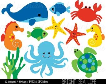 Sea Animals Preschool, Sea Life Clipart, Under The Sea Animals, People Reading, Animal Doodles, Water Animals, Free Preschool, Art Bundle, Ocean Creatures