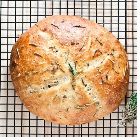 Rosemary Garlic Bread - Chew Out Loud Rosemary Garlic Bread Recipe, Rosemary Garlic Bread, Rosemary Bread, Chewy Bread, French Bread Recipe, Artisan Bread Recipes, Garlic Bread Recipe, Rosemary Garlic, Rustic Bread