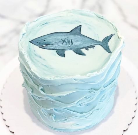 Shark Themed Cakes, Shark Birthday Cakes, Shark Cake, Shark Themed, Cake Inspo, Shark Birthday, Dream House Interior, Party Party, Pretty Cakes