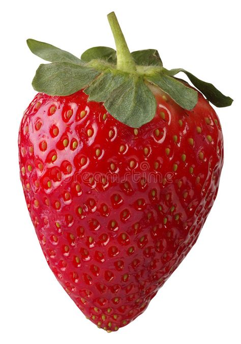 One Strawberry, Picture Of Strawberry, Pictures Of Strawberries, Strawberry Reference, Strawberries Reference, Red Objects, Fruit Reference, Strawberry Images, Big Strawberry