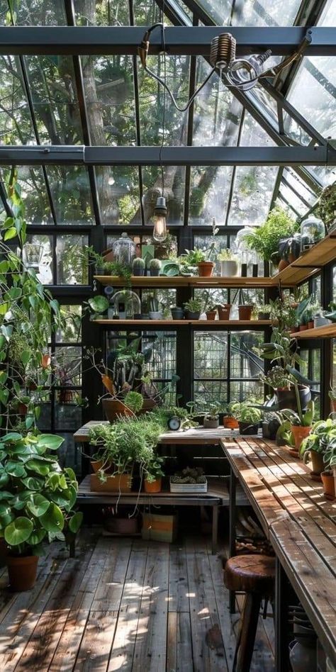 Sunroom Greenhouse, Greenhouse Cafe, Botanical Display, Conservatory Greenhouse, Green Academia, Garden Room Ideas, Backyard Greenhouse, Tropical Gardens, She Sheds