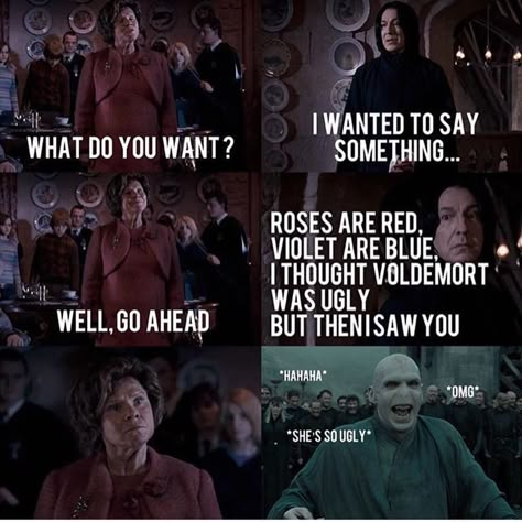 Harry Potter Memes So True, Harry Potter Memes Umbridge, Harry Potter Memes Funny So True, Professor Umbridge, Harry Potter Funny Pictures, Citate Harry Potter, Funny Harry Potter Jokes, Harry Potter Memes Hilarious, Harry Potter Puns